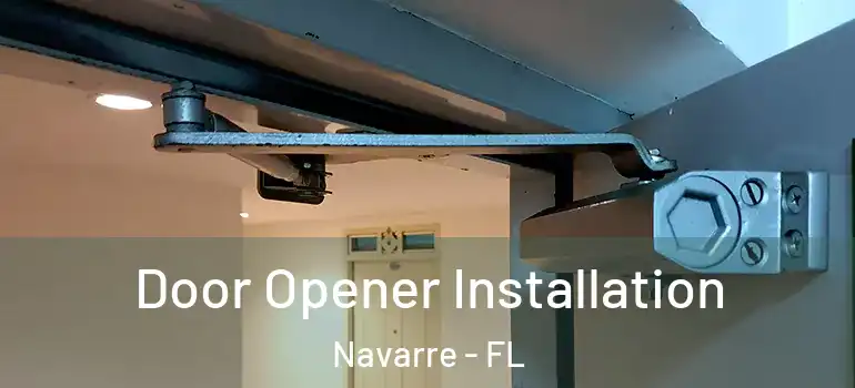 Door Opener Installation Navarre - FL
