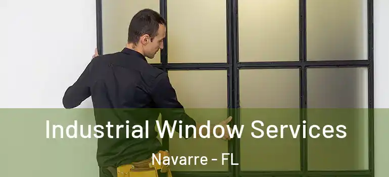  Industrial Window Services Navarre - FL