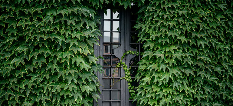 Garden Gate Repair in Navarre, FL