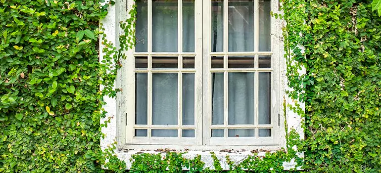 Garden Window Repair Near Me in Navarre, FL
