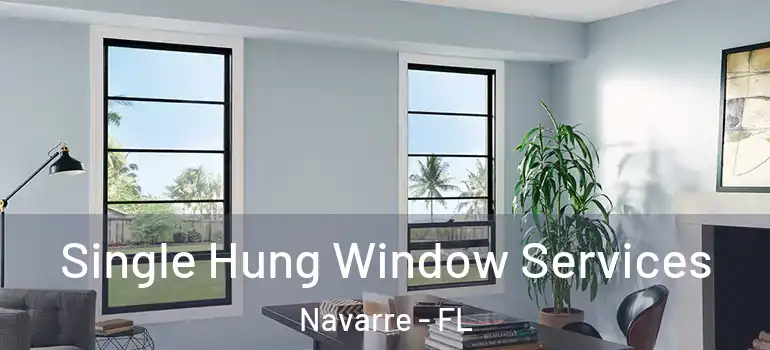  Single Hung Window Services Navarre - FL