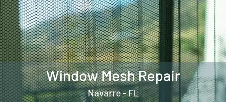  Window Mesh Repair Navarre - FL